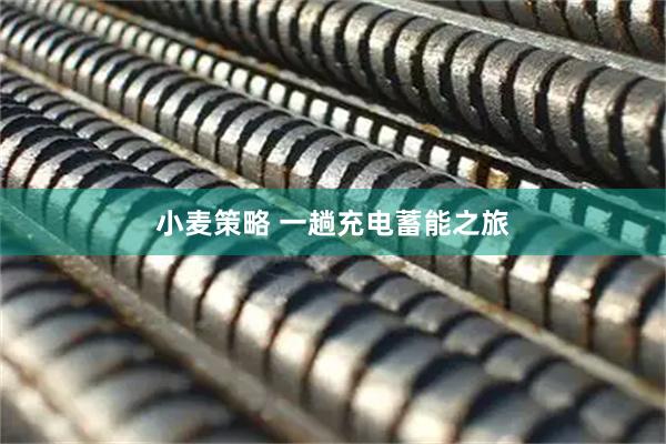 小麦策略 一趟充电蓄能之旅