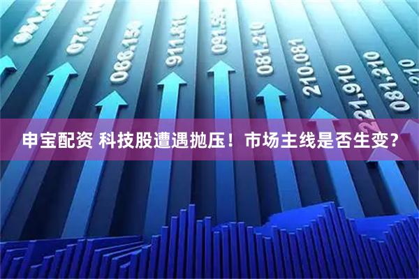 申宝配资 科技股遭遇抛压！市场主线是否生变？