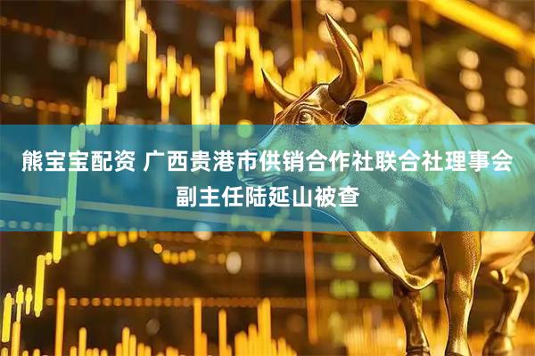 熊宝宝配资 广西贵港市供销合作社联合社理事会副主任陆延山被查