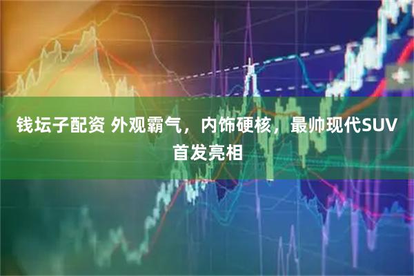 钱坛子配资 外观霸气，内饰硬核，最帅现代SUV首发亮相