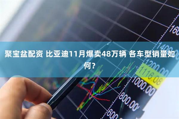 聚宝盆配资 比亚迪11月爆卖48万辆 各车型销量如何？